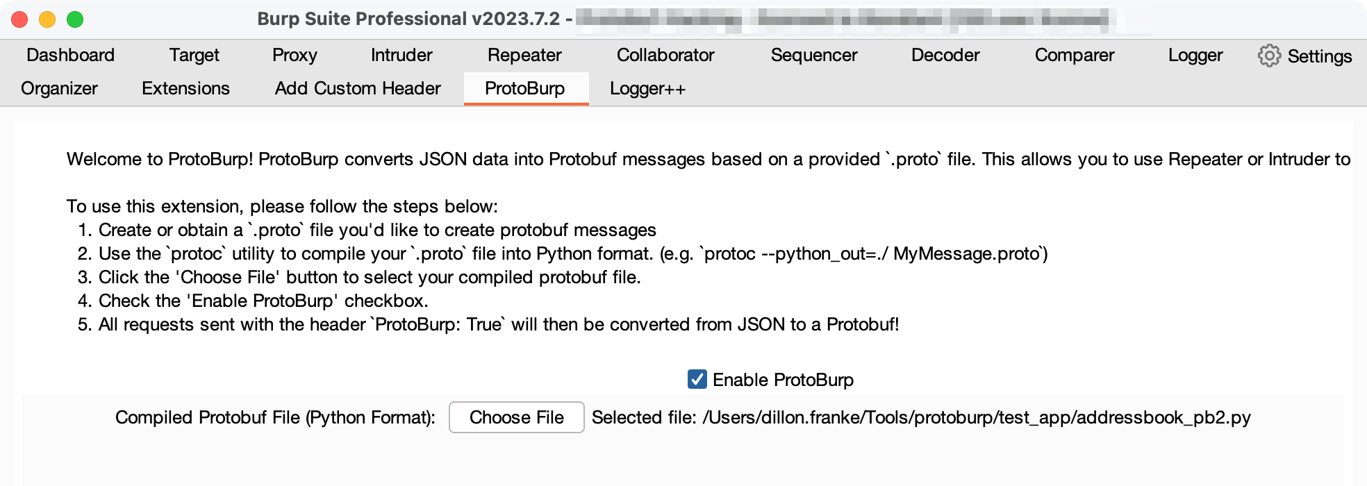 Protoburp extension tab in Burp Suite